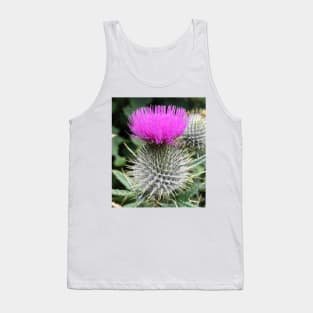 scottish thistle with beautiful purple head Tank Top